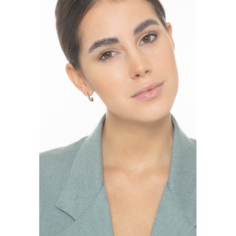 Boucles d'oreilles à crochet en or jaune 18k Boucles d'oreilles à crochet en or jaune 18k